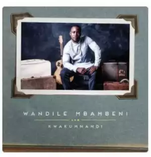 Wandile Mbambeni - Feelings Alone (Acoustic)